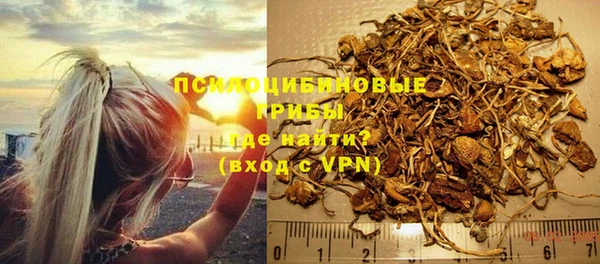 гашик Алексеевка