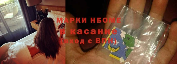 стафф Алексин