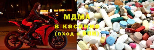 стафф Алексин