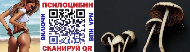 ОМГ ОМГ ONION  Ахтубинск  Псилоцибиновые грибы Cubensis 