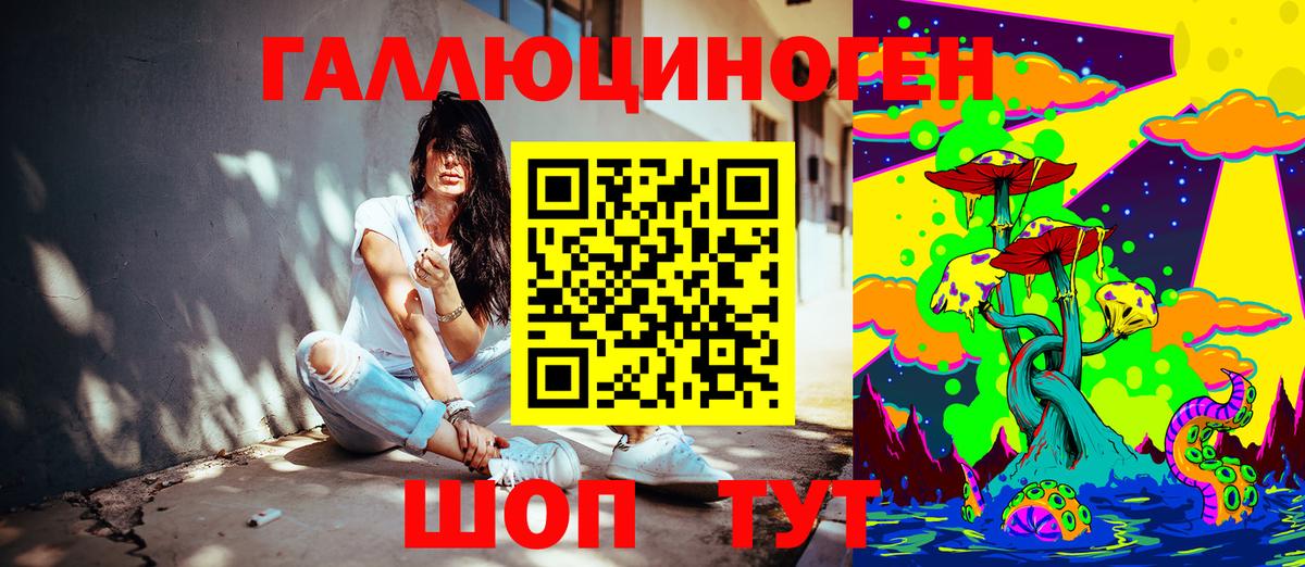 Галлюциногенные грибы Psilocybine cubensis  купить наркотики сайты  Ахтубинск 