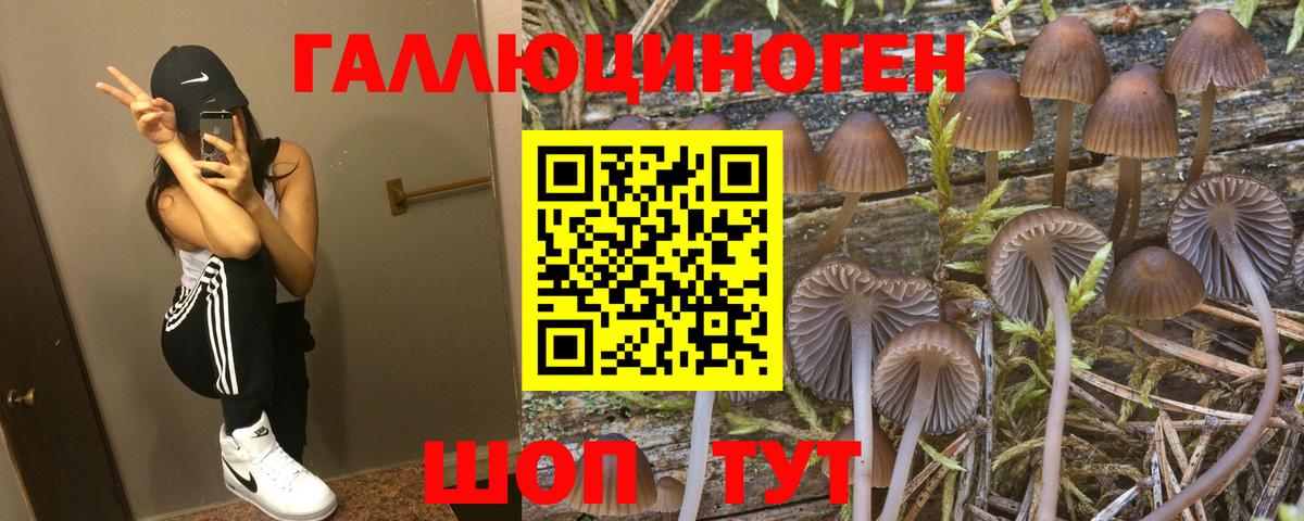 Галлюциногенные грибы прущие грибы Ахтубинск