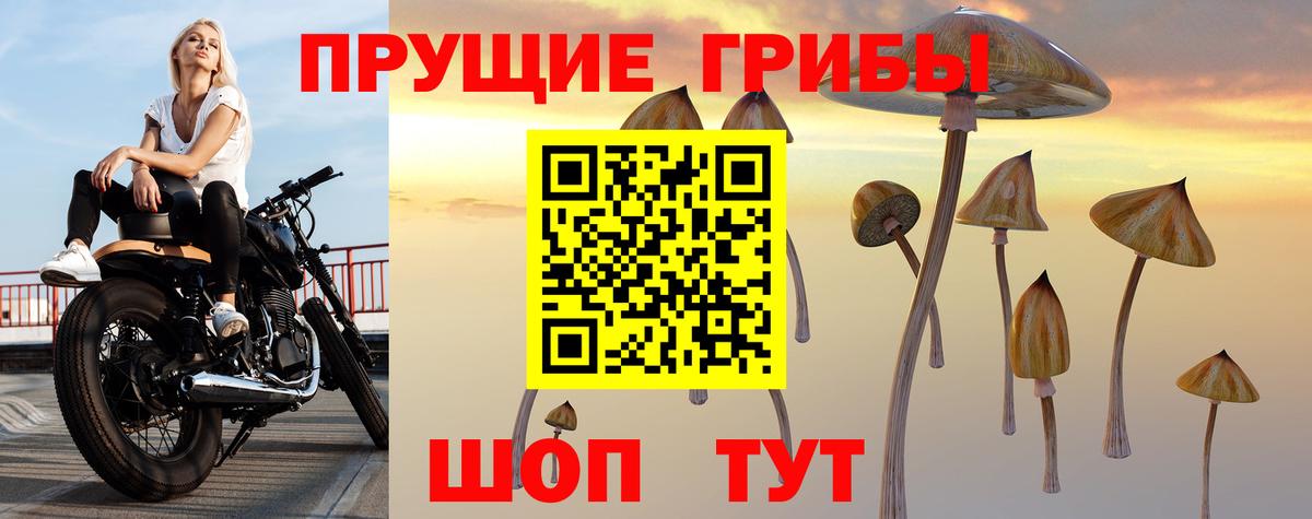 Галлюциногенные грибы мицелий  Вход с VPN  даркнет сайт  Ахтубинск 